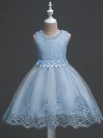 Toddler Girl's Appliques Faux Pearl Decor Contrast Sequin Tulle Fit and Flare Dress, Elegant Bow Back Sleeveless Zipper Back ...