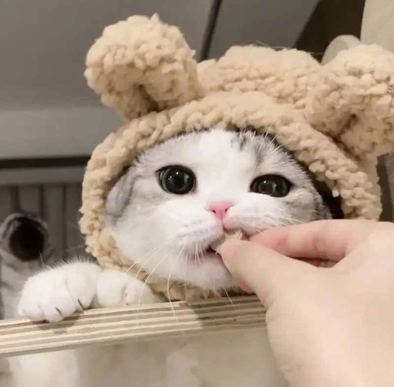 XM 00001 Test Product - Delicious Candy Snack