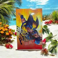 CaribbeanZone FunCards Vintage 1995 fleer card collection