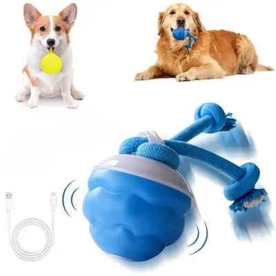 Interactive Dog Toys with Motion Activated, Squeaky Dog Toy Active Rolling Ball Wicked Ball for Daily Training,Used for cats ...