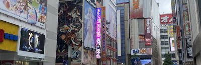 Pop Culture in Tokyo: A Walking Tour with Context