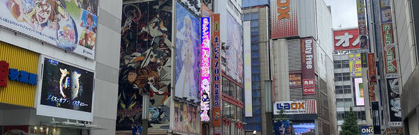 Pop Culture in Tokyo: A Walking Tour with Context