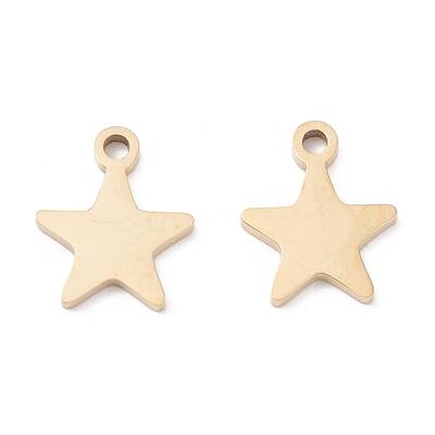 Ion Plating(IP) 316 Surgical Stainless Steel Charms
