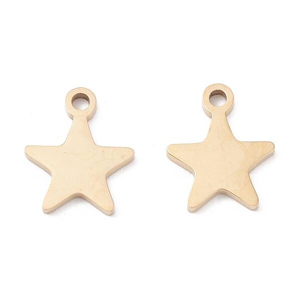 Ion Plating(IP) 316 Surgical Stainless Steel Charms