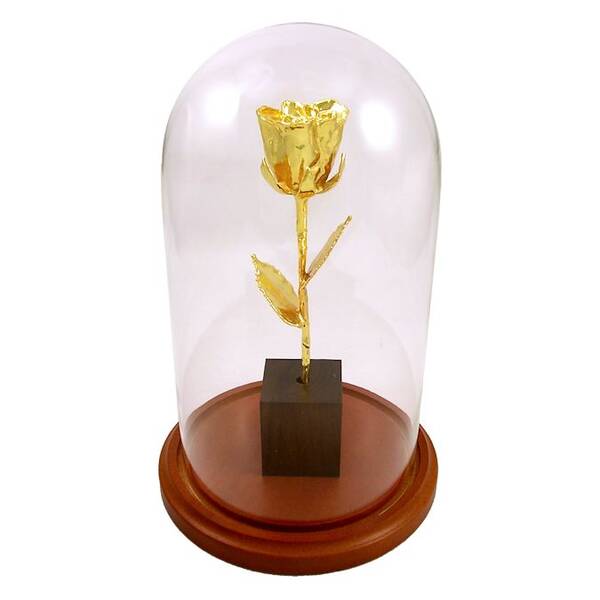 50th Anniversary 24k Gold Dipped Enchanted Rose: 8