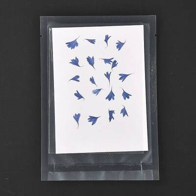 Cornflower Embossing Dry Flower