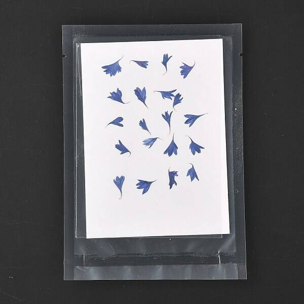 Cornflower Embossing Dry Flower
