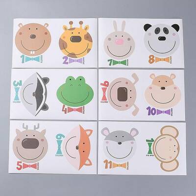 1-12 Months Number Themes Baby Milestone Stickers