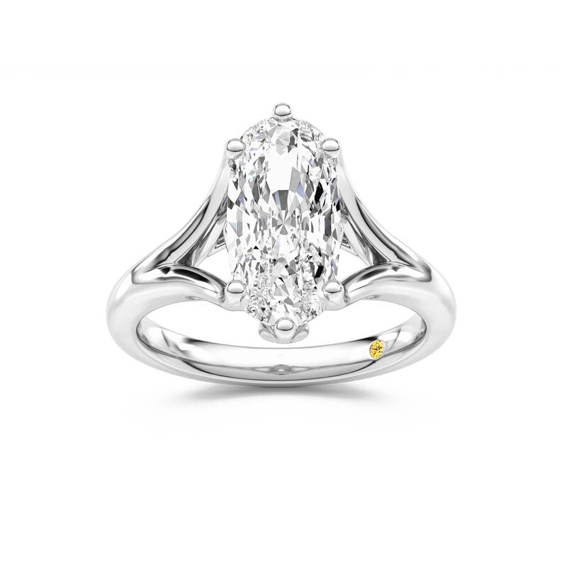 Rosie Elongated Cushion Lab Grown Diamond Engagement Ring | 18K White Gold 2 1/2 CT. TW.