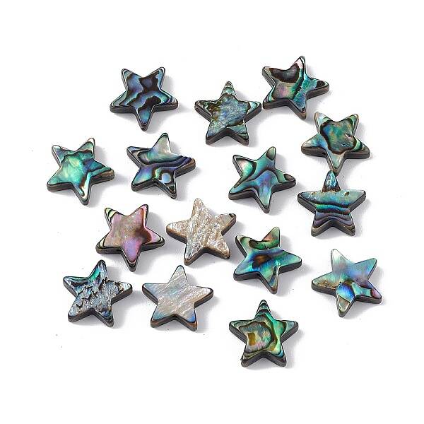 Natural Abalone Shell/Paua Shell Beads