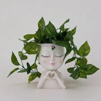 Creative Resin Flower Pot, Modern Plant Flower Vase with Drainage Hole, Summer Decorative Flower Vessel for Home Balcony Gard...