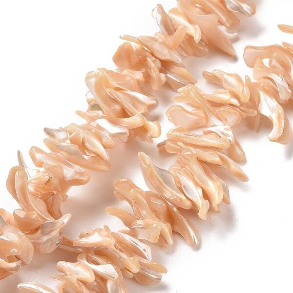 Natural Trochid Shell Beads Strands