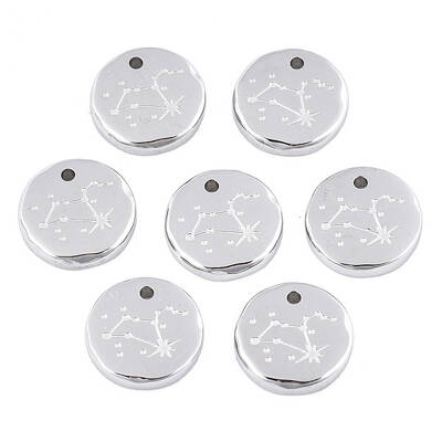 Non-Tarnish 316 Surgical Stainless Steel Charms