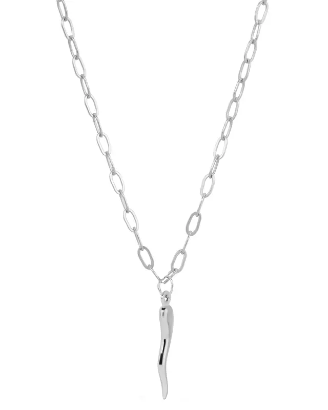 Cornicello Necklace | Metal Color: Silver