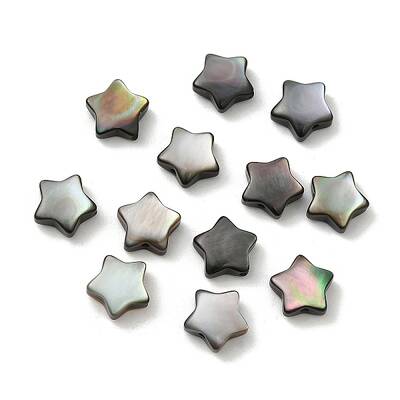 Natural Black Lip Shell Beads