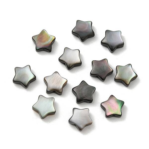 Natural Black Lip Shell Beads