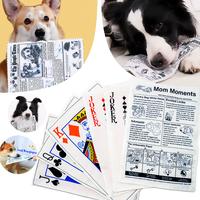 6-Piece Extra-Durable Crinkle Newspaper Chew Set -Loud Squeak, Washable & Tough Chews-Daily Play for Small, Medium & Large Br...