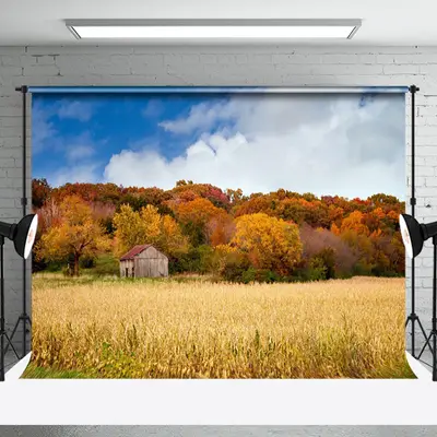 Aperturee Sunny Day Valley Woods Autumn Photography Backdrop | Professional Photography Backdrop | Photoshoot Background | Ph...