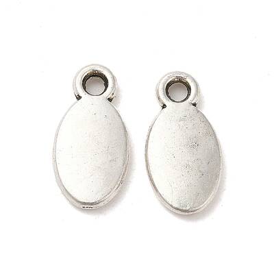 Tibetan Style Alloy Charms