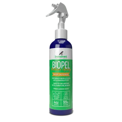 Indoor Insect Control Spray