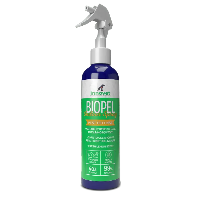 Indoor Insect Control Spray