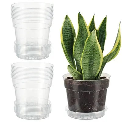 Garvee Thickened Transparent Nursery Pots for Seedlings – 20 Pack 6 Inch Clear Plastic Planters with Drainage Holes and Sau...