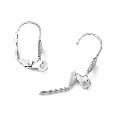 Tarnish Resistant 304 Stainless Steel Leverback Earring Findings