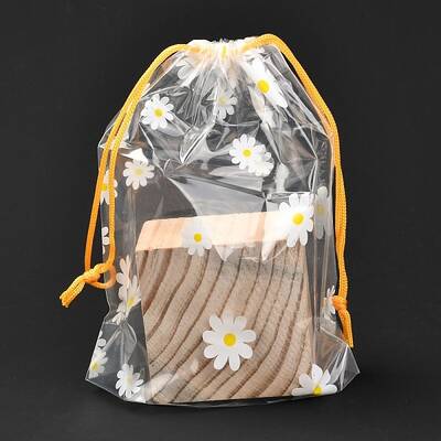 Plastic Frosted Drawstring Bags
