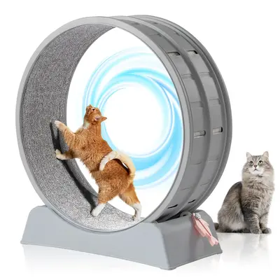 REBUYHOME Cat Exercise Wheel, 31.5 inch Cat Wheels for Indoor Cats, Cat Treadmill Wheel Exerciser with Carpeted Runway, Plast...