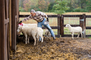 Introduction to Animal Science