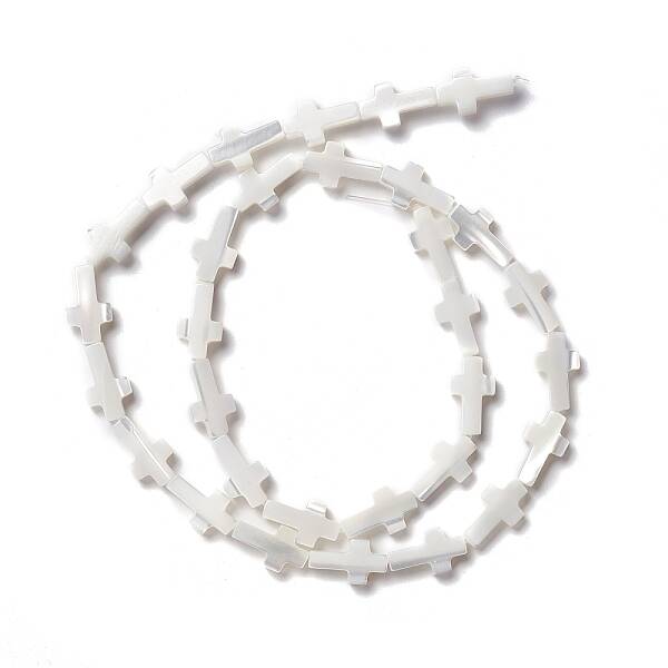 Natural Trochid Shell/Trochus Shell Beads