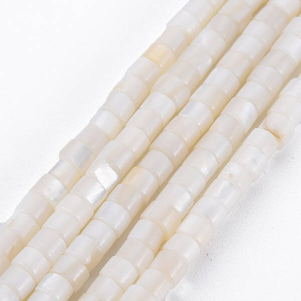 Natural Freshwater Shell Beads Strands