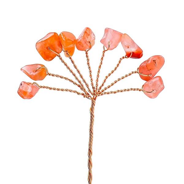 Natural Carnelian Display Decorations