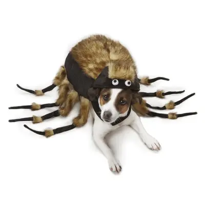Zack & Zoey® Tarantula Dog Costume - XS