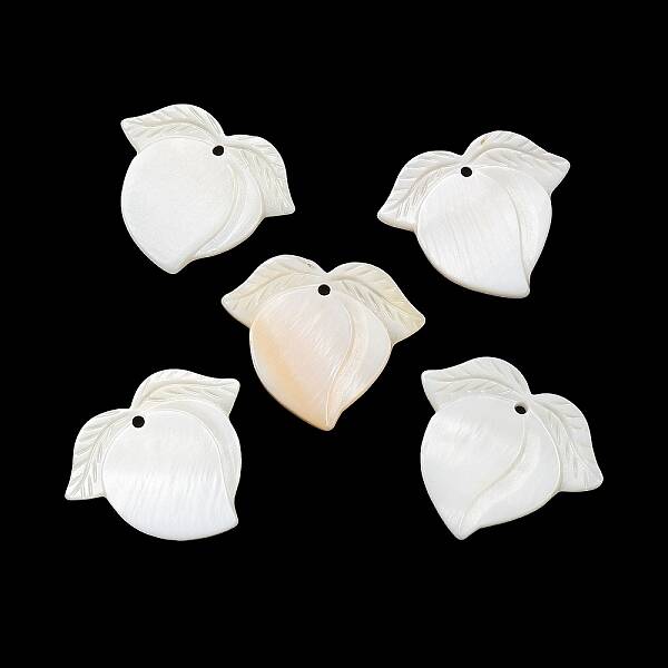 Natural Freshwater Shell Pendants