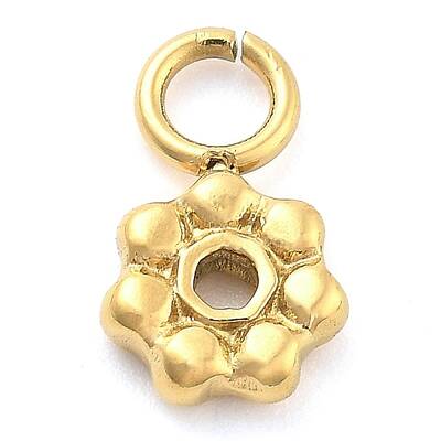Ion Plating(IP) 304 Stainless Steel Charms