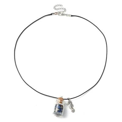Glass Bottle & Alloy Sea Horse Pendant Necklace