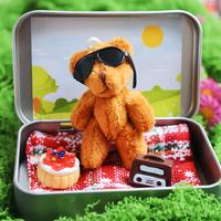 Teddy Bear in Pocket Tin, 1 Count Cute Bear Doll, Picnic Gift, Mini Plush Toy for Birthday Gift, Party Favors, Soft Stuffed A...