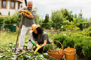 Basics of Homesteading