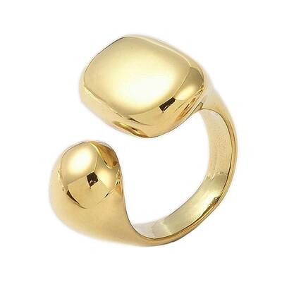 304 Stainless Steel Ion Plating(IP) Rings