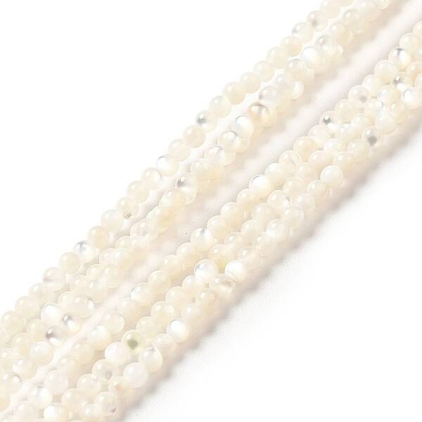 Natural White Shell Beads Strands