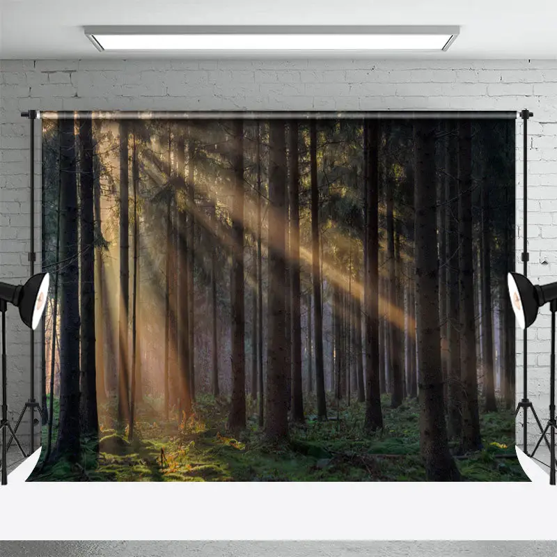 Hazy Sunlight Mysterious Forest Photography Backdrop - Aperturee