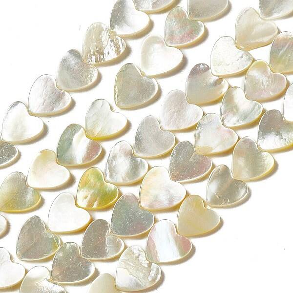 Natural White Shell Beads Strands