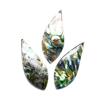 Natural Abalone Shell/Paua Shell Cabochons