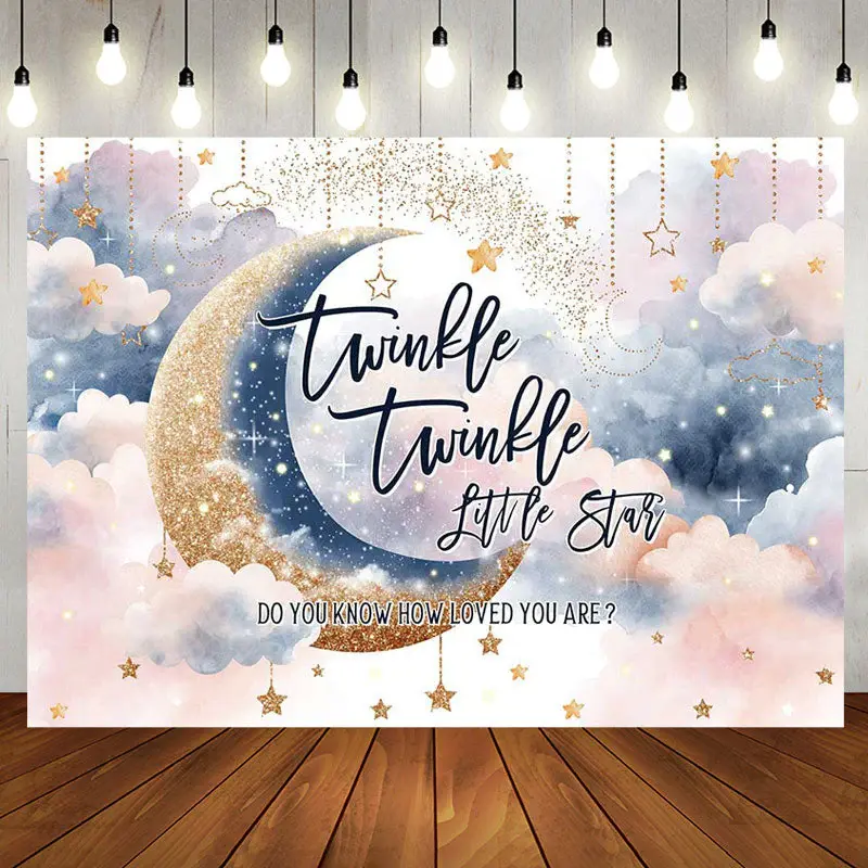 Little Star Sparkle Moon Twins Baby Shower Backdrop - Aperturee