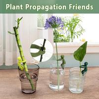 【FaddishDeal】3/6PCS Friends of plant reproduction;Leaf supports for sprouting and cutting, lovely decorations, gifts for ...