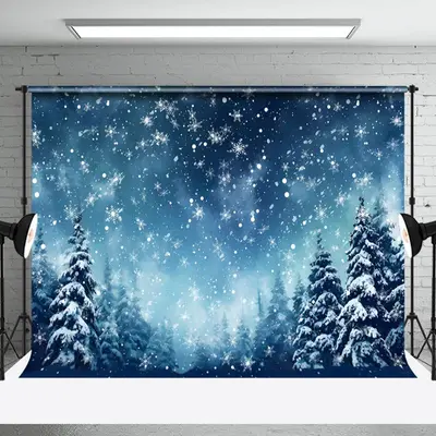 Aperturee Serene Winter Forest With Falling Snowy Backdrop - Aperturee
