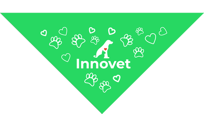 Lime Green Pet Bandanas - Large
