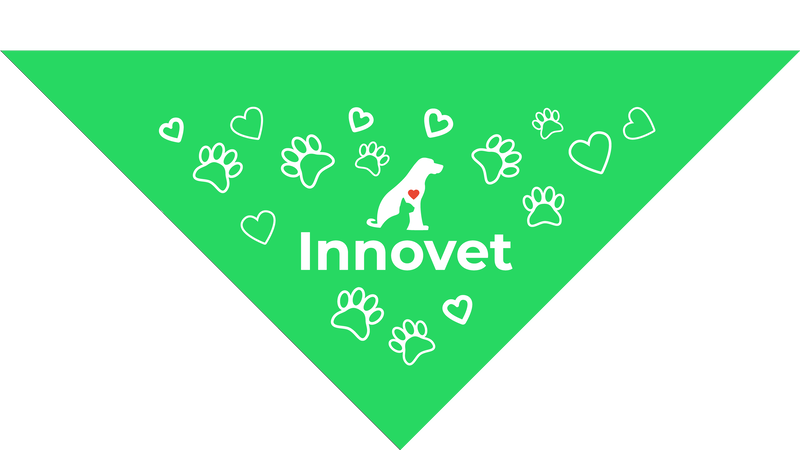 Lime Green Pet Bandanas - Large