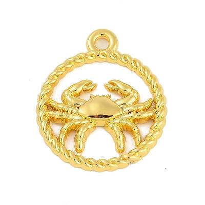 Twelve Constellations Alloy Pendants